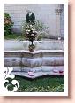 DSCF2567